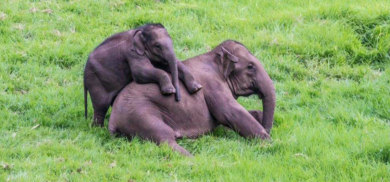 munnar trip from mumbai