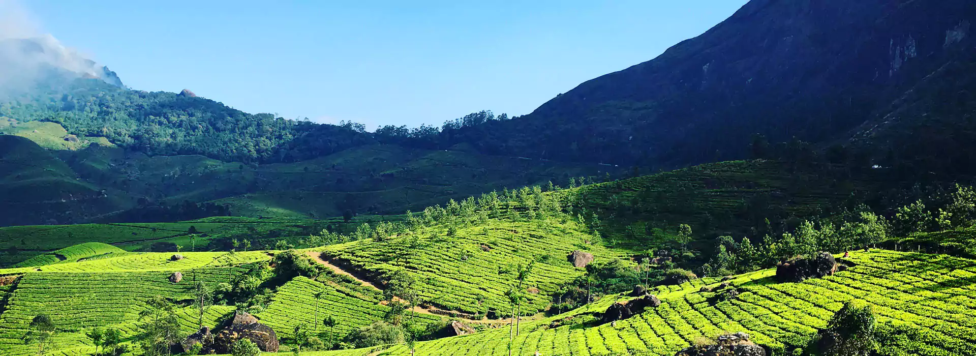 2 Days Munnar Honeymoon Package