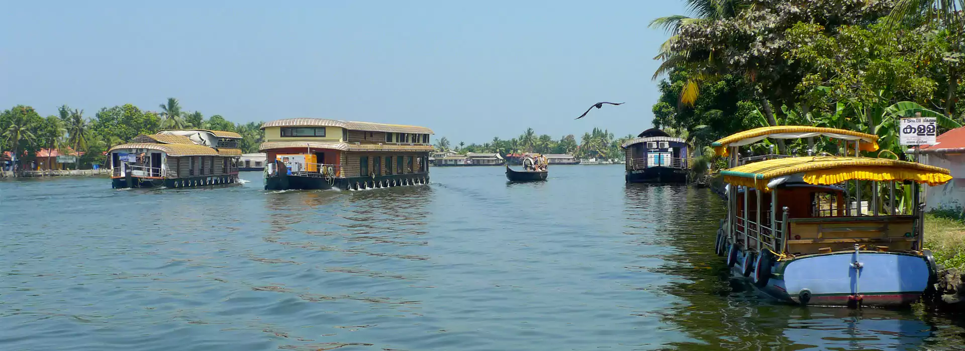 Munnar Kumarakom Honeymoon Package