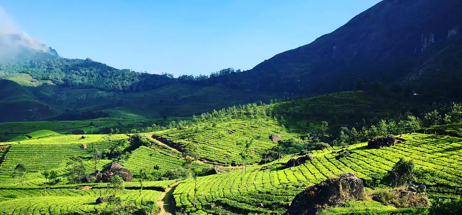 Munnar Tour Package