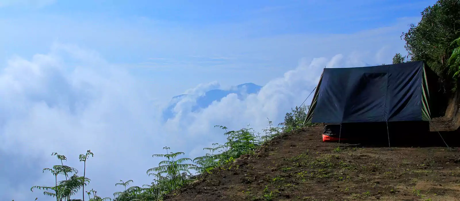 Munnar Top Station Sunrise Tour