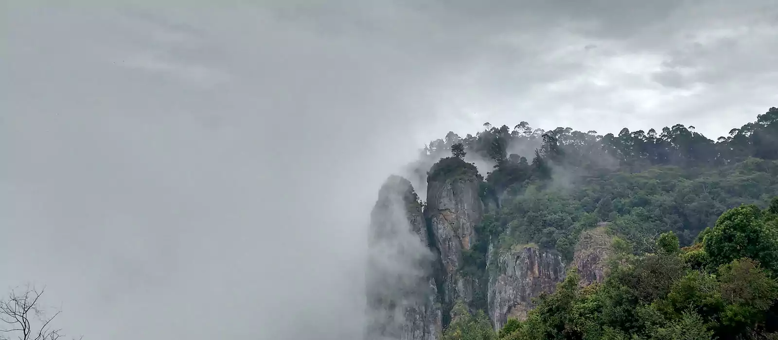 Ooty Kodaikanal Honeymoon Tour Package