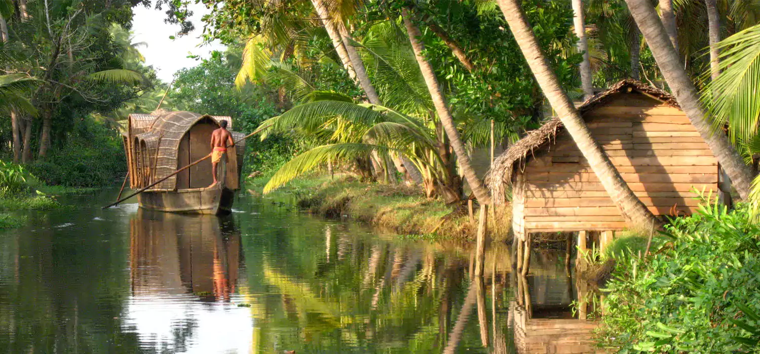Alleppey Munnar Honeymoon in Tree House