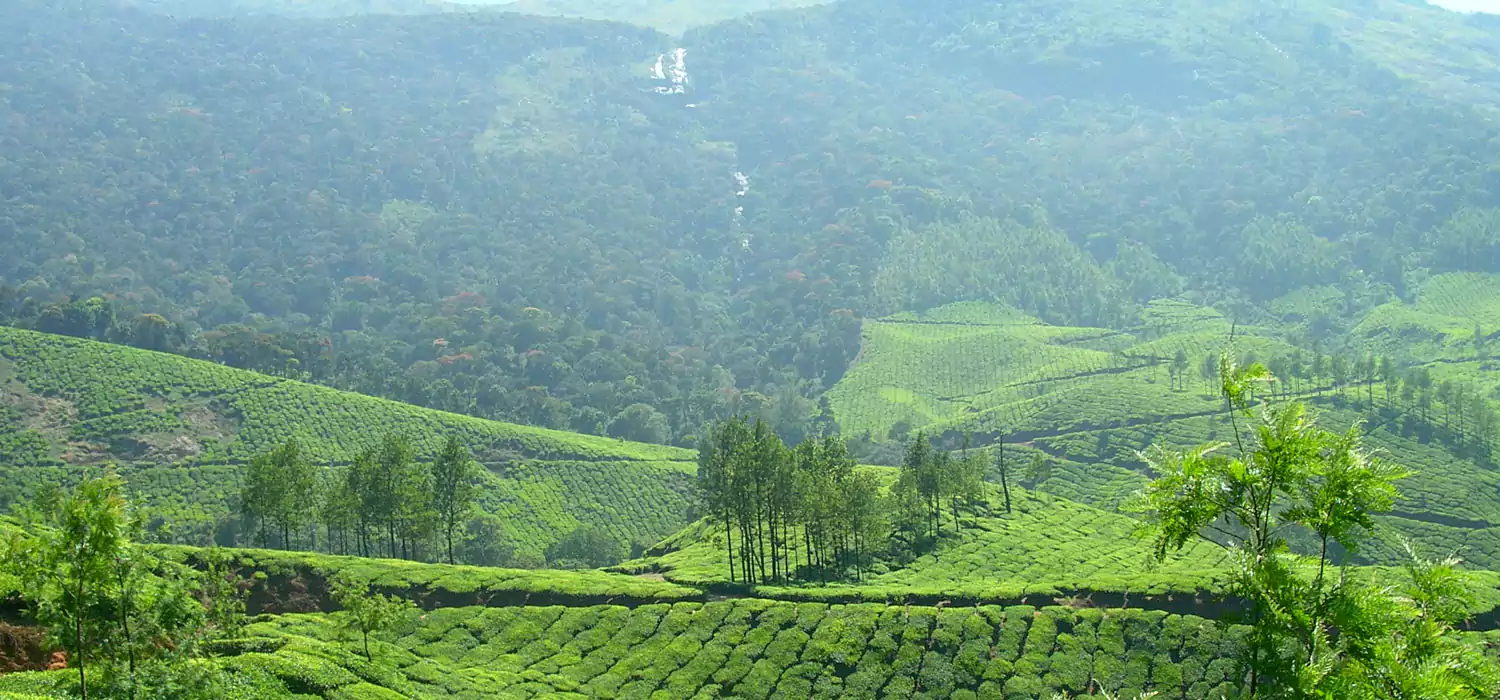 Cochin Munnar Alleppey Houseboat Package