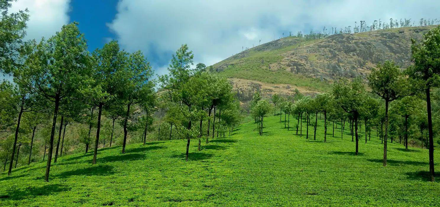 Alleppey Munnar Homestay Package