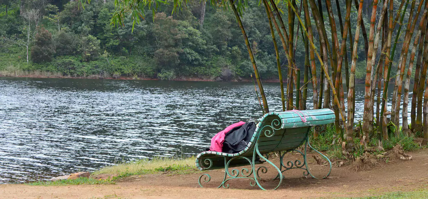 5 Days Kerala honeymoon in Tree house