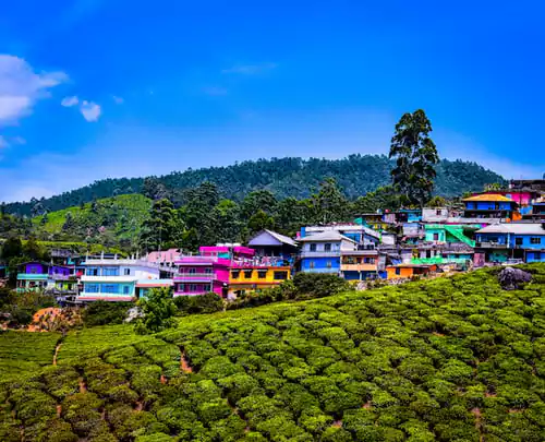 Kerala Family Holiday Packages