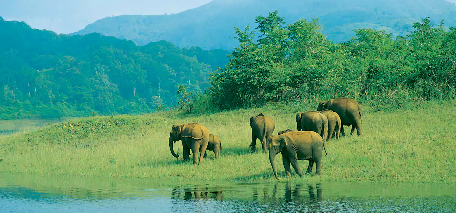 7 Nights 8 Days Luxury Kerala Tour Package