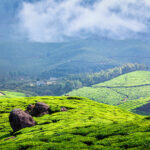 Munnar Trekking